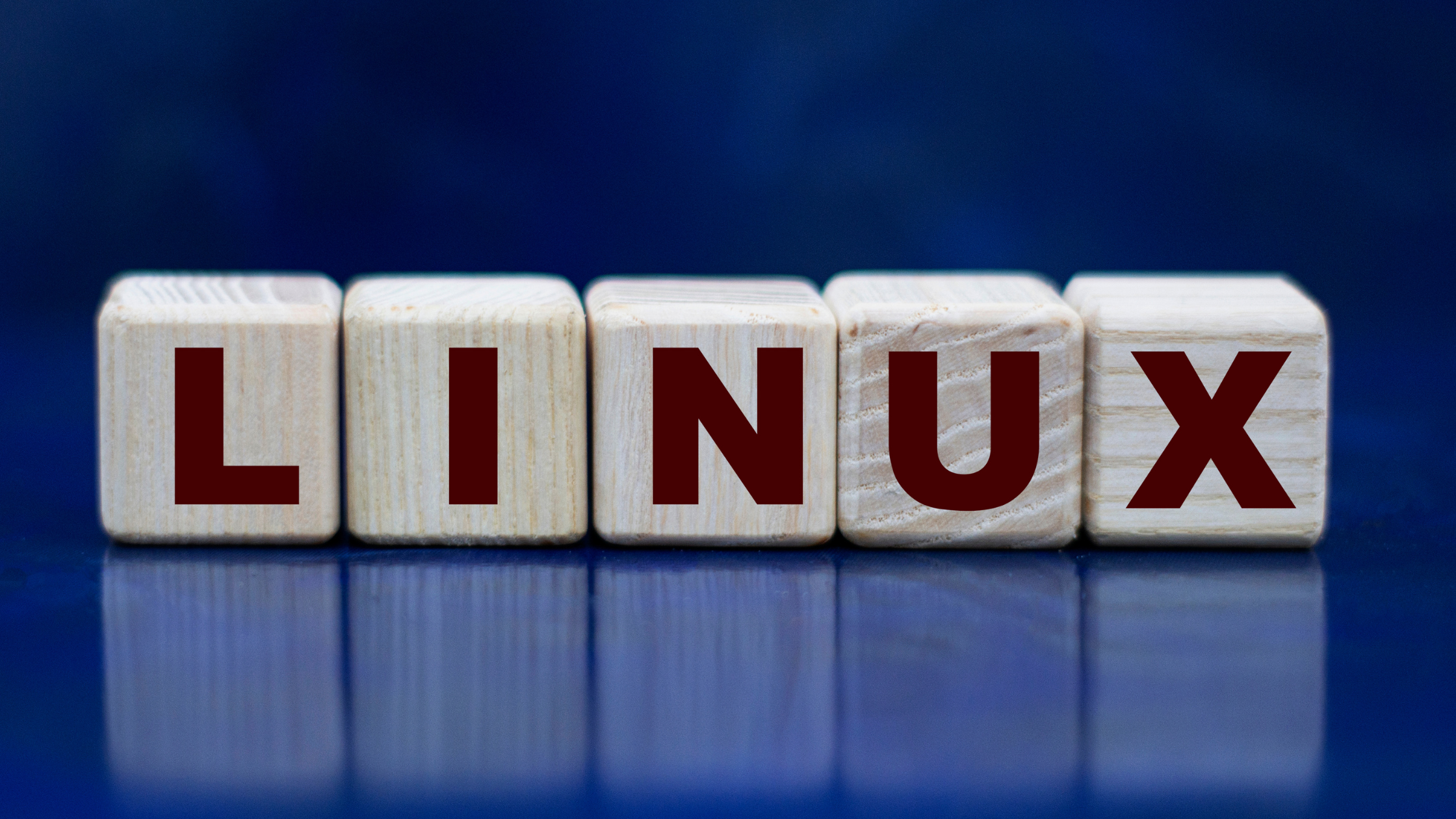 Linux Tutorial: A Comprehensive Guide for Beginners
