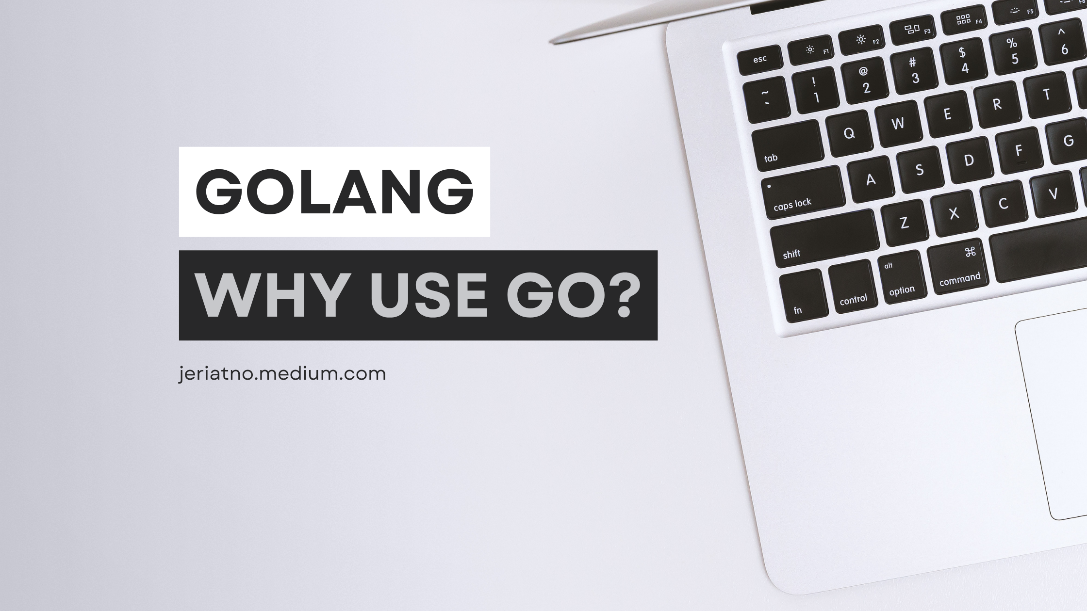 Go: Kenapa Harus Belajar Go di Era AI?