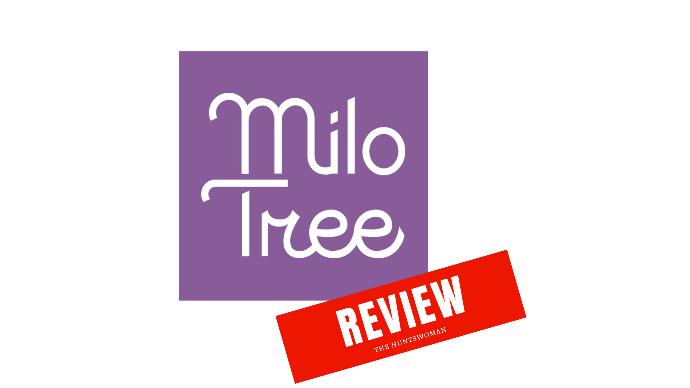 Review of the MiloTree Pinterest Plug-In | Pinterest Pop Up for WordPress