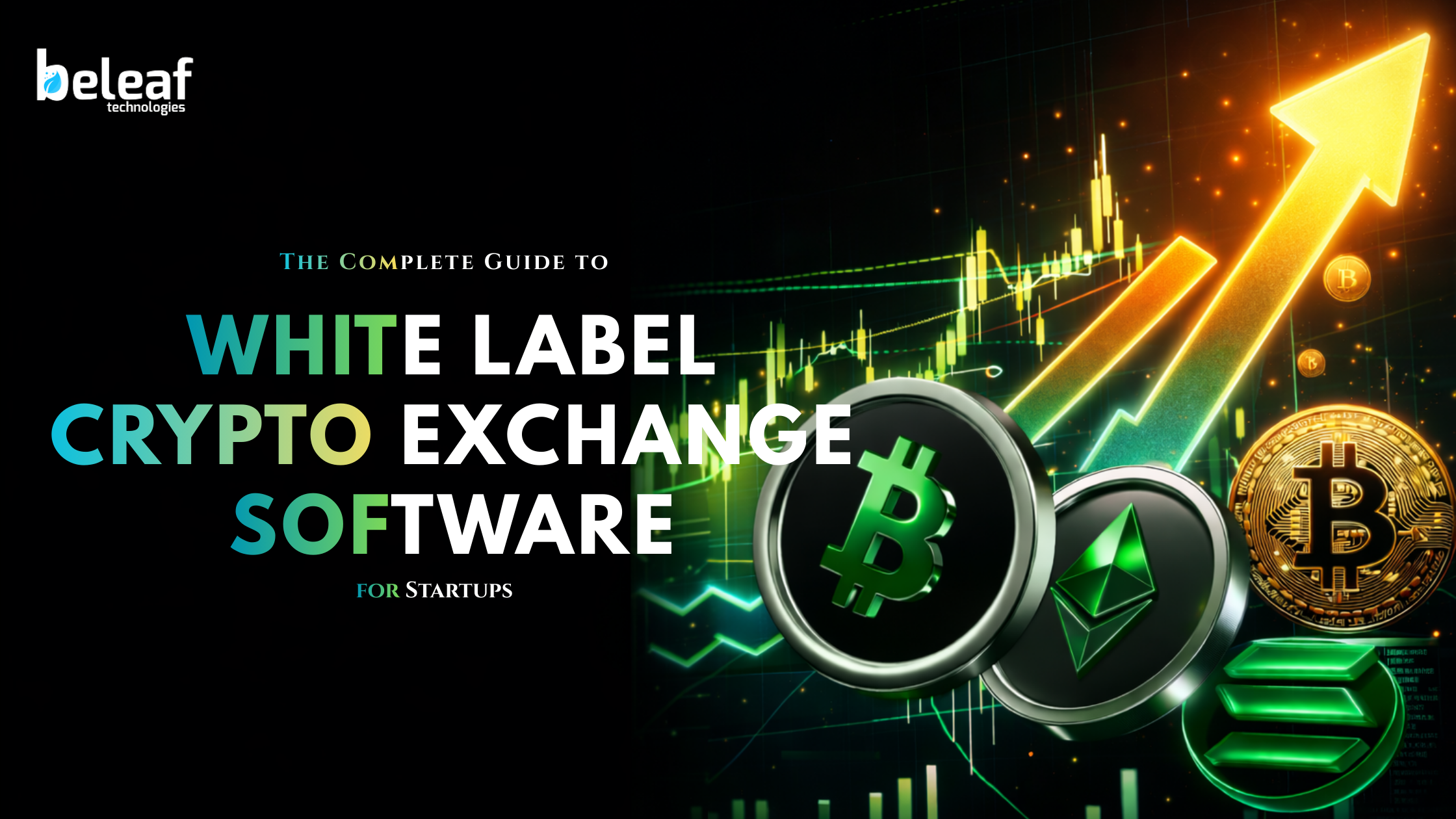 The Complete Guide to White Label Crypto Exchange Software for Startups