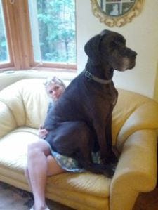 If Andray was of the canine species, he would think he was a lapdog. 