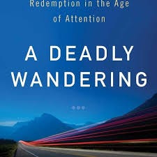 The book cover of A Deadly Wandering by Matt Richter