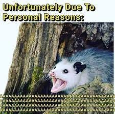 Meme with a screaming opossum; text reads “Unfortunately due to personal reasons: AAAAAAAAAAAAAAAAAA”