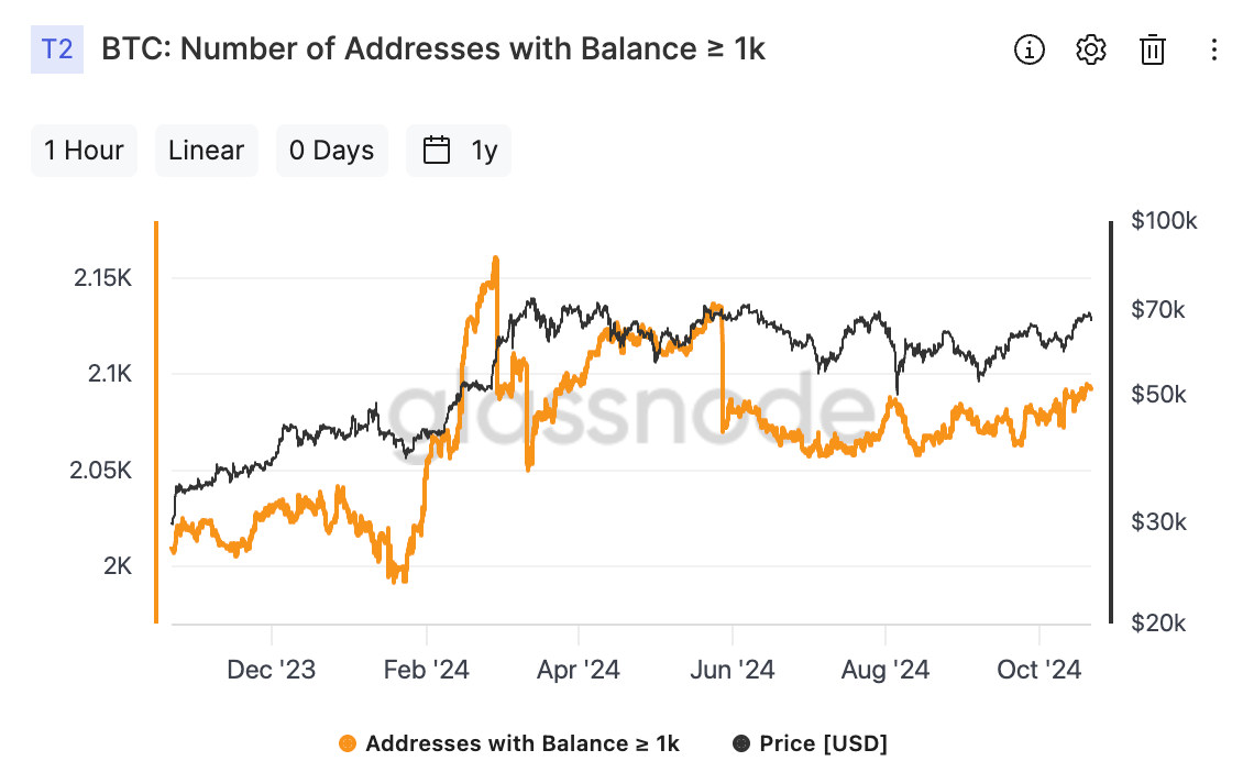 비트코인 1k 이상 보유 지갑 수(출처: Glassnode)