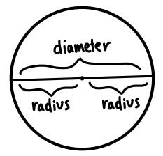 A circle displaying the diameter and radius relationship