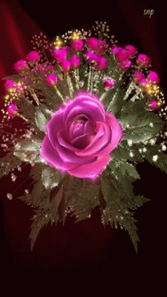 Pink Flowers GIF - Pink Flowers Roses - Descubre & Comparte GIFs - flowers roses gif