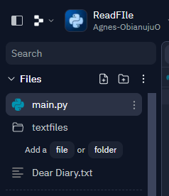Image of an uploaded ‘Dear Diary’ Text File