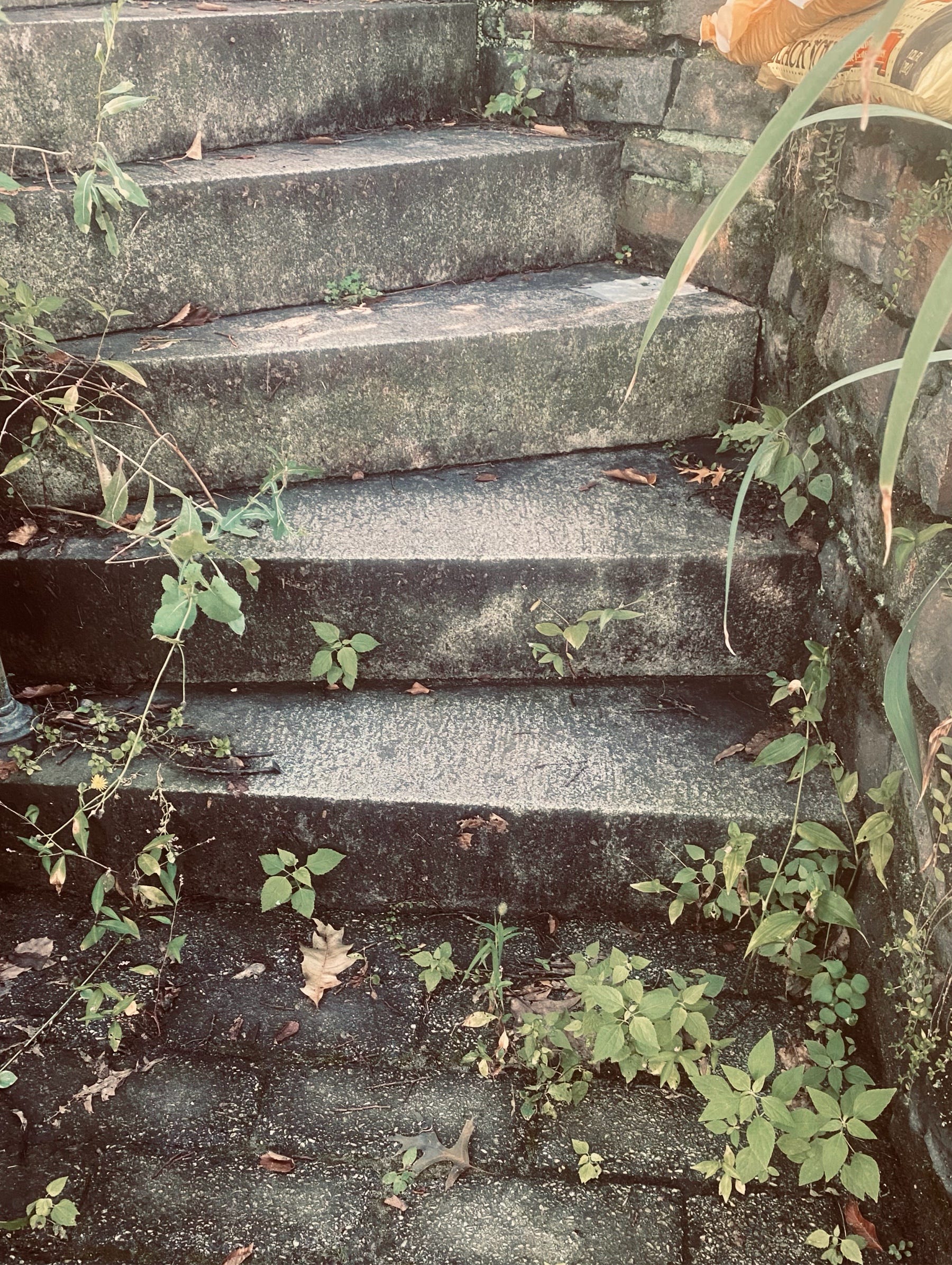 # I’m Rebuilding My Life Using AI, Blockchain, and Digital Products — Here’s the Plan