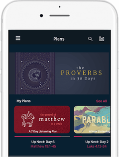 The “Plans” section of the Dwell bible app