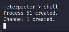 The “shell” command starts a new process for us in Meterpreter.