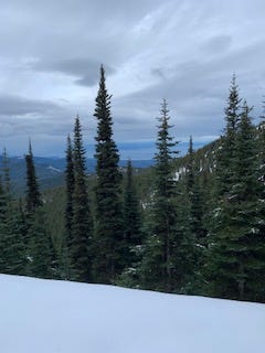 A snowy patch in the foreground that drops off to a wooded area. The background is the Strait of Juan de Fuca, a short, narrow channel of water between the US and Canada. There are clouds in the sky and it is gray.