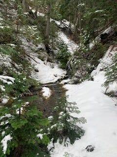 A creek goes through a snowy area with two slopes on either side. The slopes are covered in snow with vegetation poking out of them. The vegetation is bright green and contrasts with the perfect white of the snow along with the dark gray creek. In the foreground are two pine trees, one no more than four feet, the other two. The trees on the slopes are very small as well.