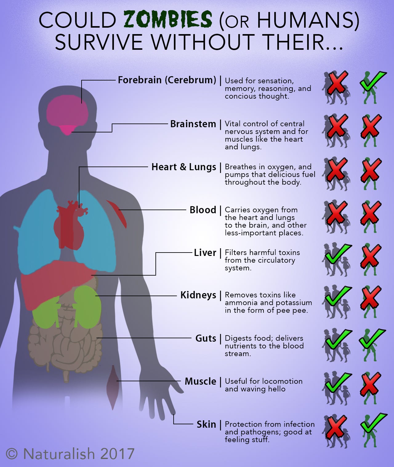 The Zombie Anatomy How to Kill the Living Dead Naturalish Medium