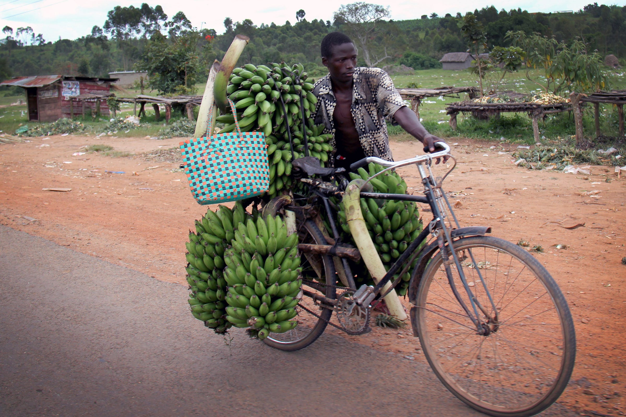 A Small Glimpse Into Village Life — Rural Living In Central Uganda