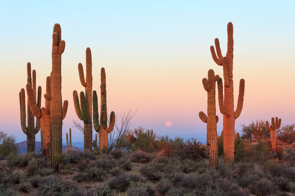 U.S. State Names that Come from Spanish - Embassy of Spain ...