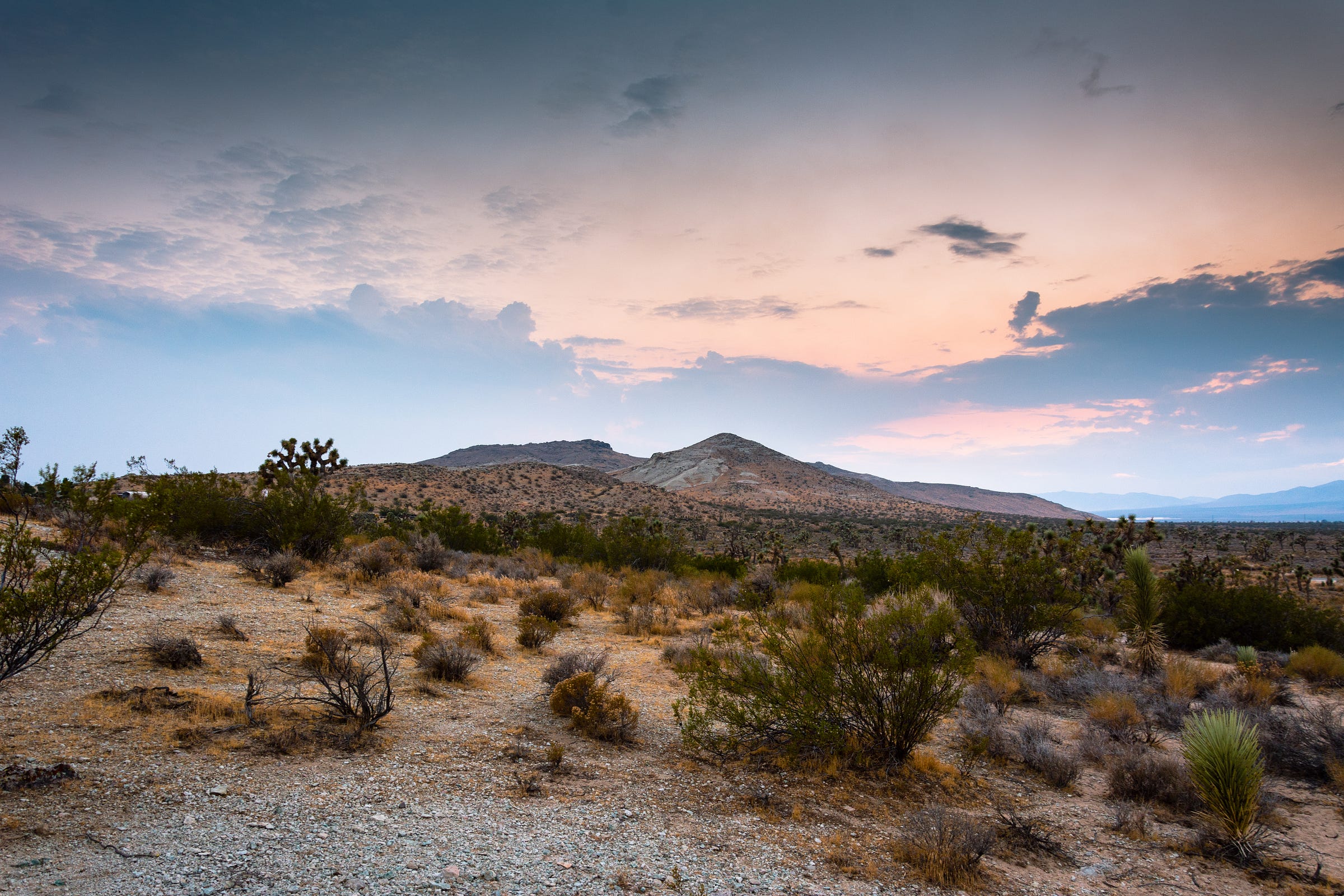 Day 10 — Mojave Desert, CA — 3Days The 100Day Challenge Medium