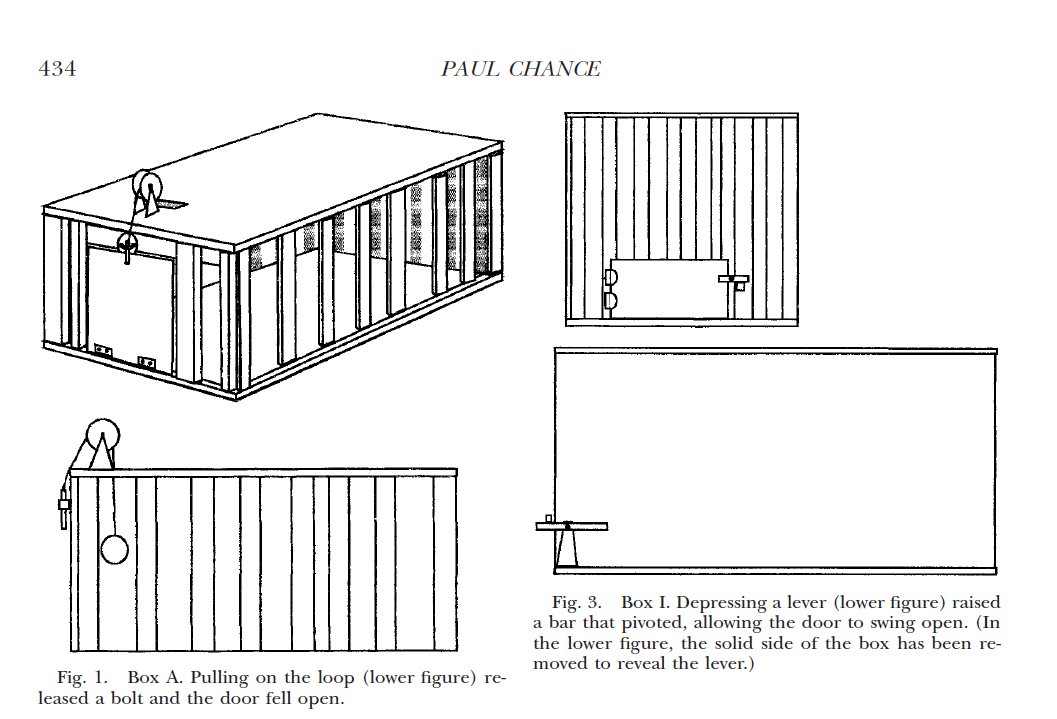  Paper Summary  Thorndike's Puzzle Boxes And The Origins ...