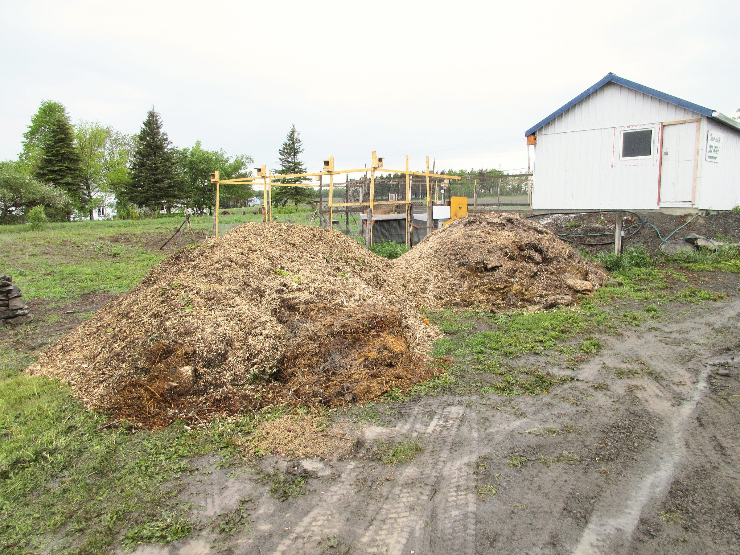 More Mulch Invironment Medium