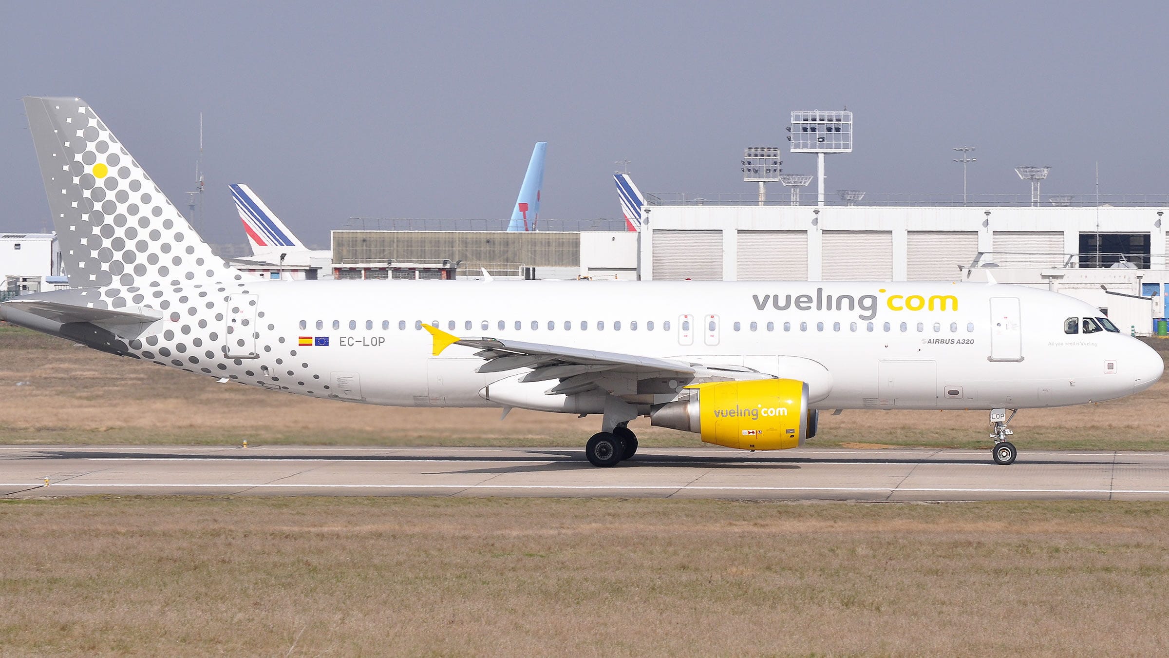 Vueling Airlines DUB Terminal +1–855–738–4601