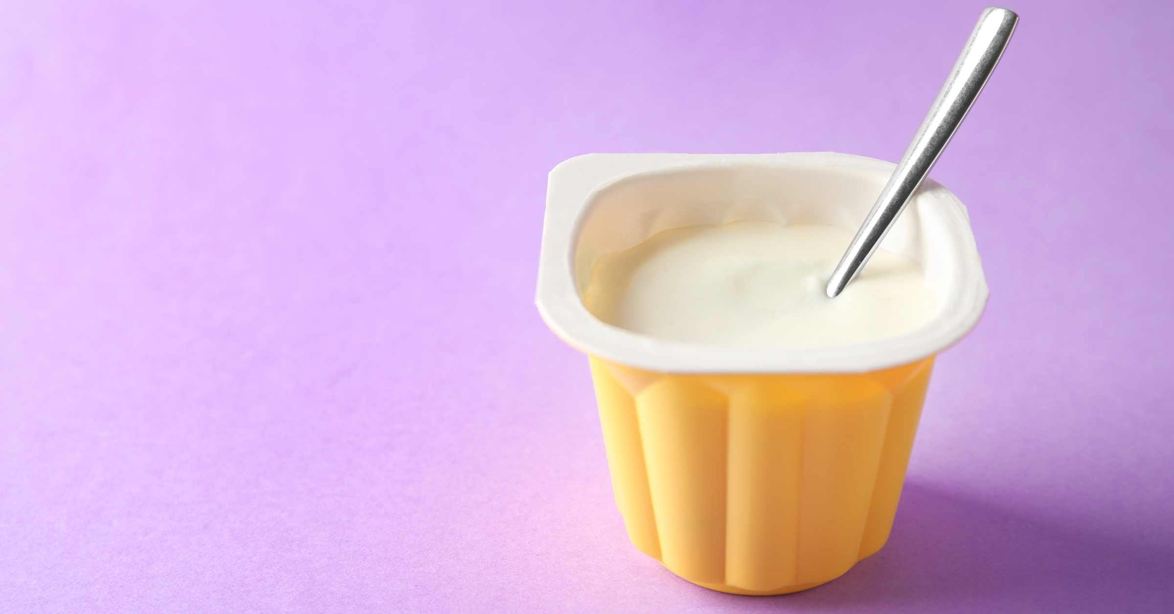 Can You Bring Yogurt on a Plane- TSA Food Guide