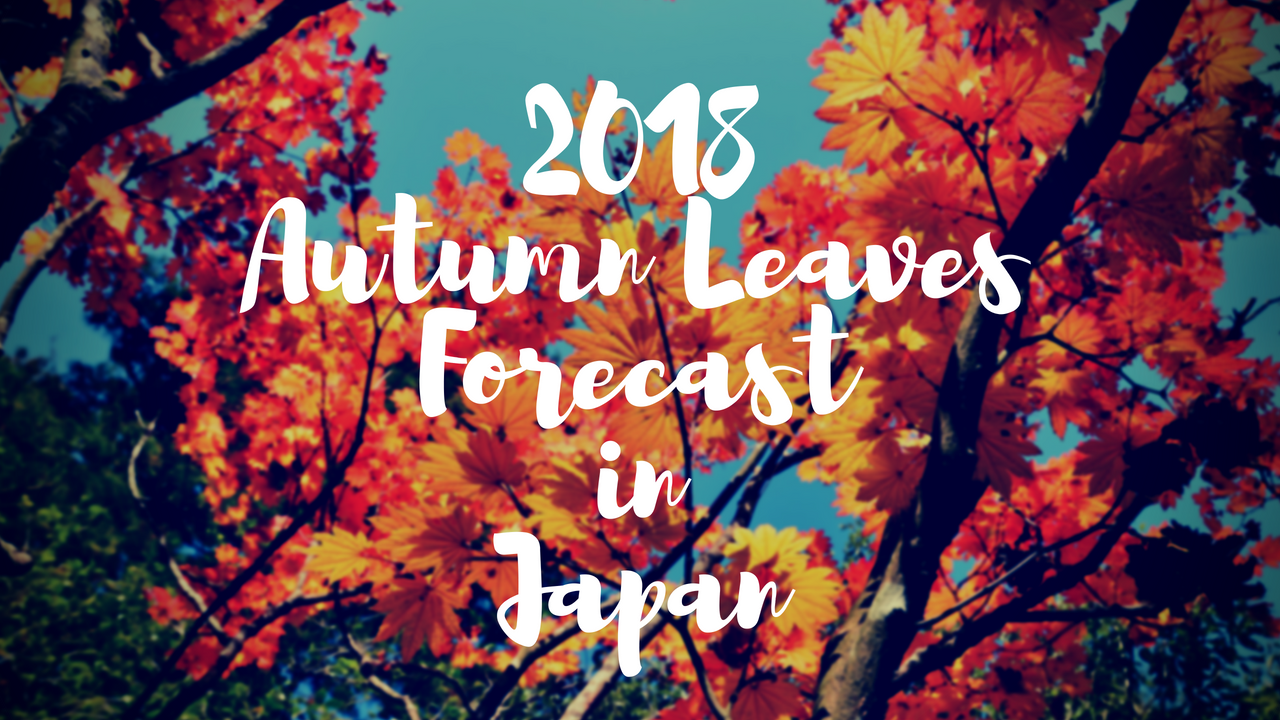 Japan Autumn Leaves Forecast 2018 – Japan Travel Guide -JW Web Magazine