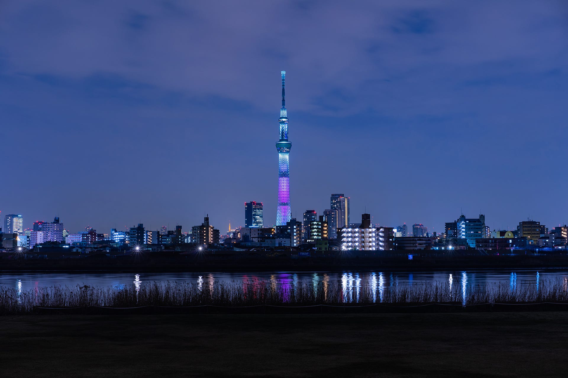 《旅行拼圖：2019冬 東京富山》東京篇