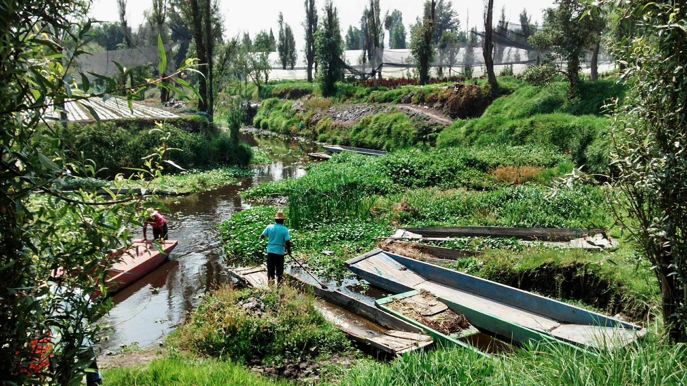 CHINAMPAS (Floating gardens) A Mexican Tradition With Global Impact