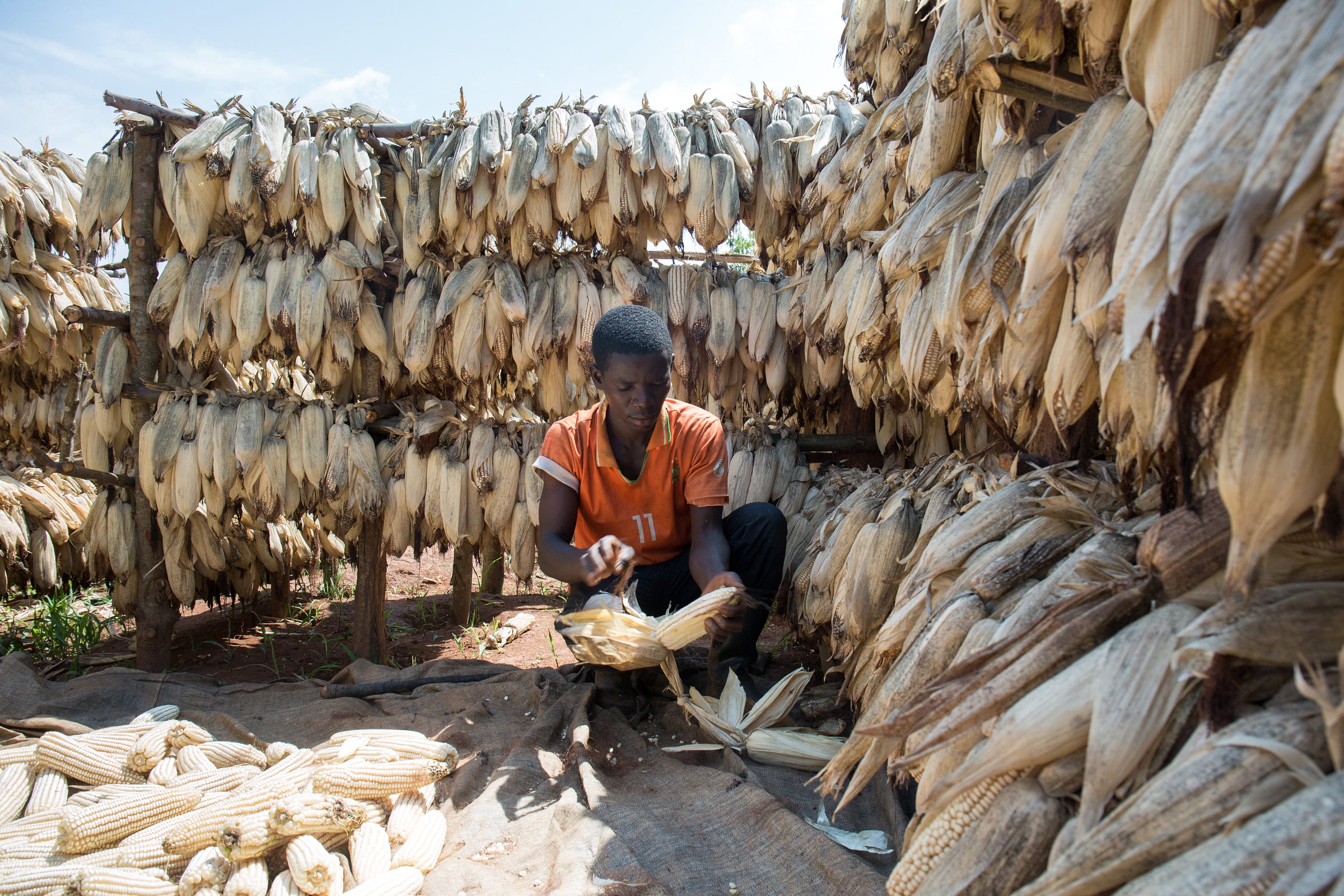 Reduced food waste means increased income for farmers in Rwanda