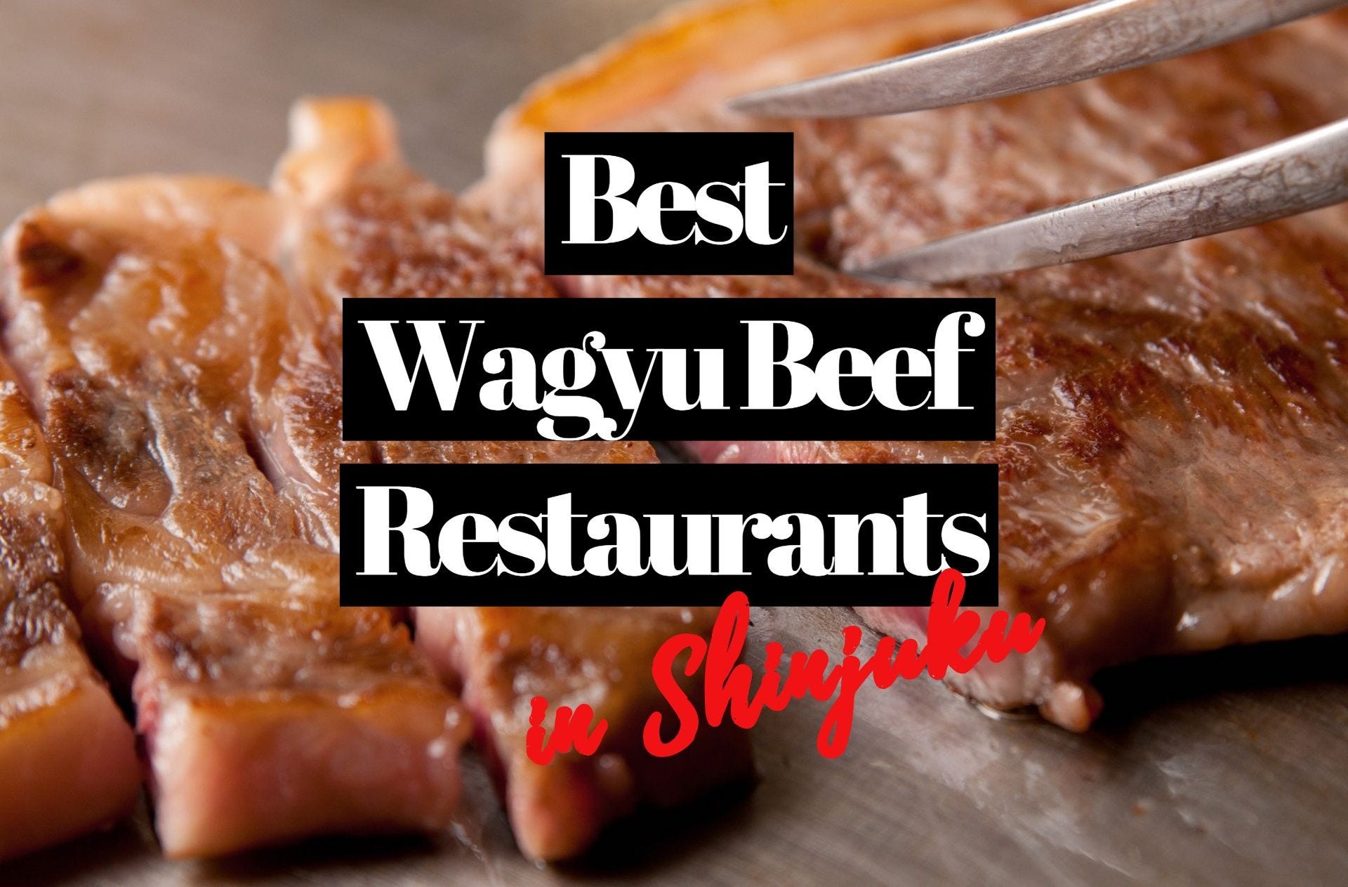 6 Best Wagyu Beef Restaurants In Shinjuku Tokyo – Japan Travel Guide ...