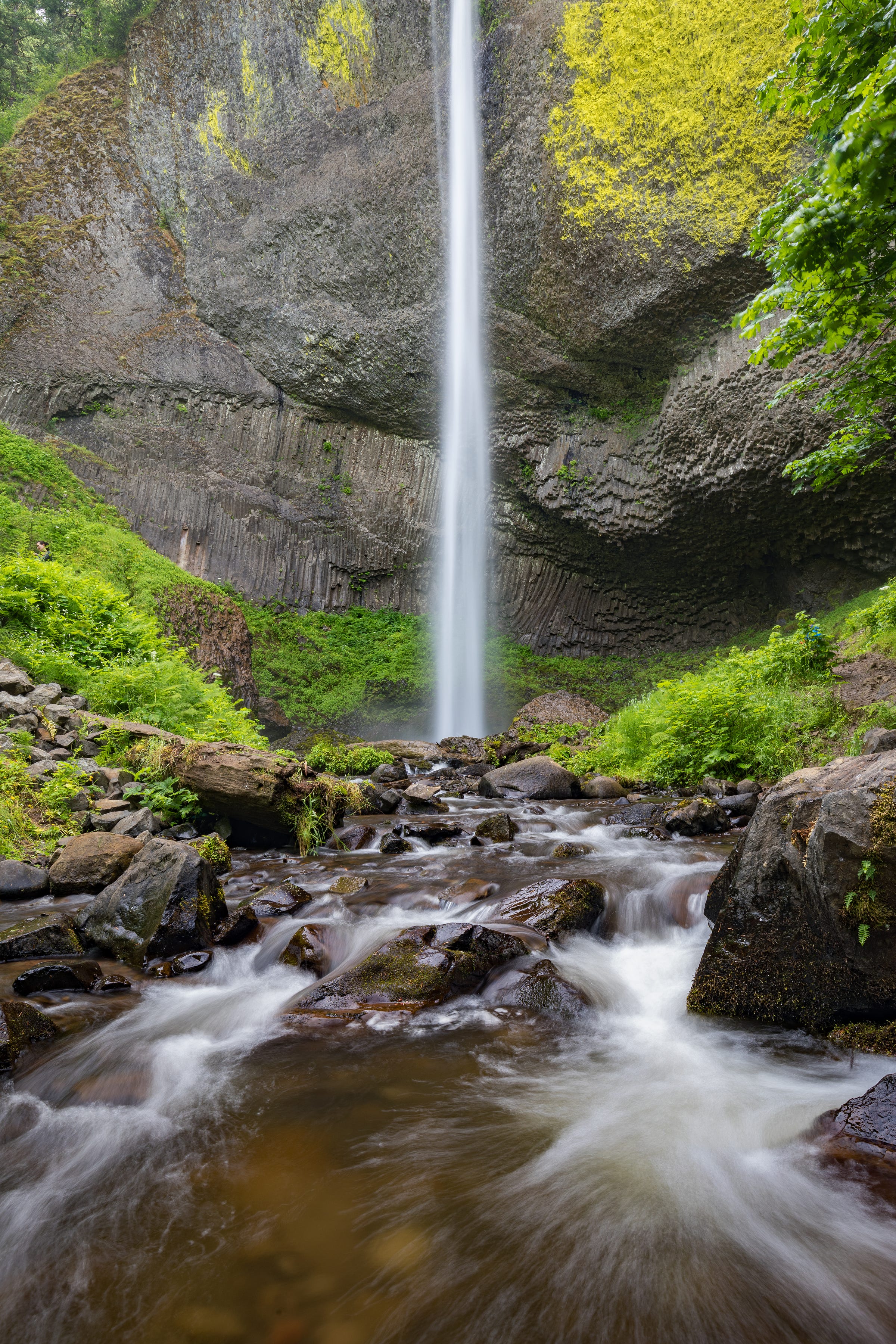 Multnomah Falls, Bridal Veil Falls, Latourell Falls, and Vista House
