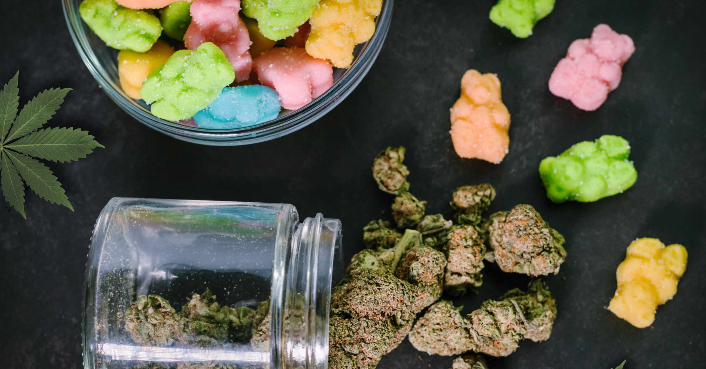 Can You Take CBD Gummies on a Plane- [Your 2024 Guide]