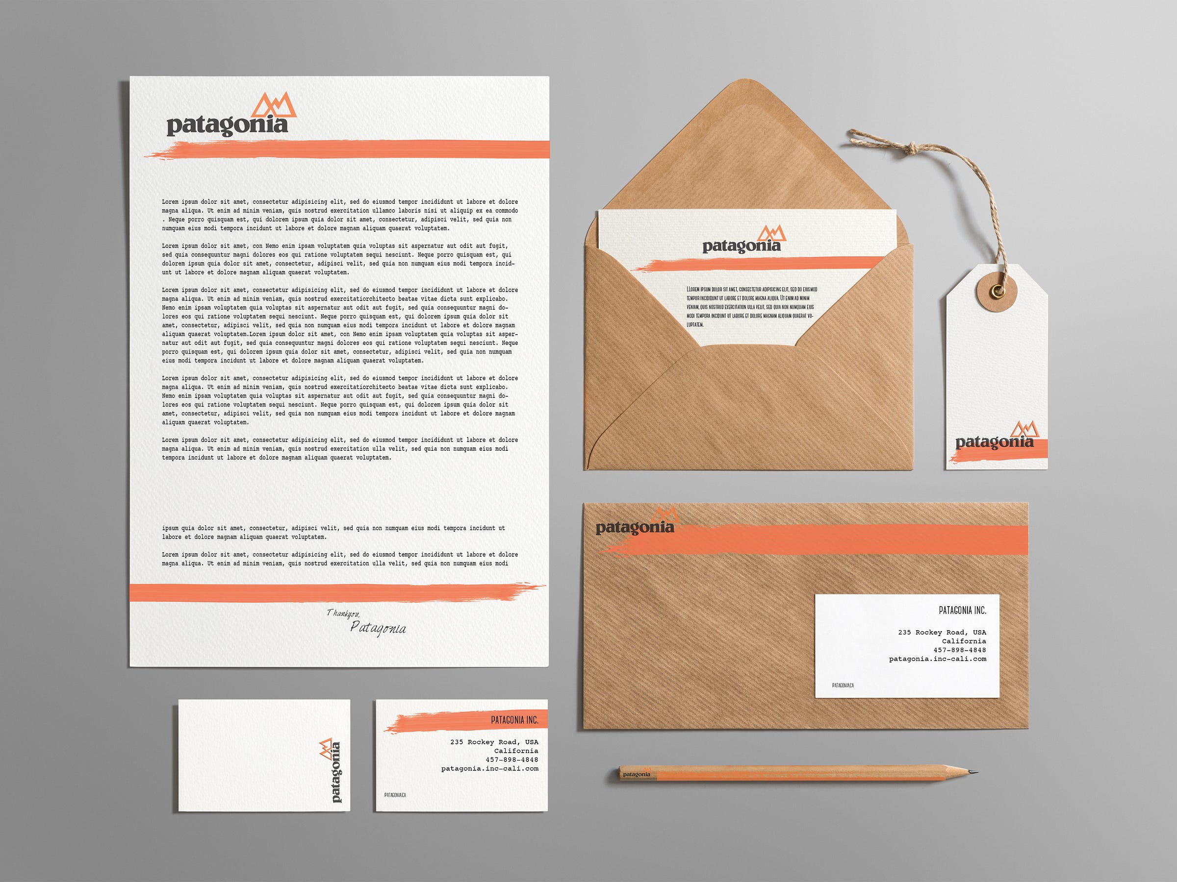 Organizational structure case study patagonia picture