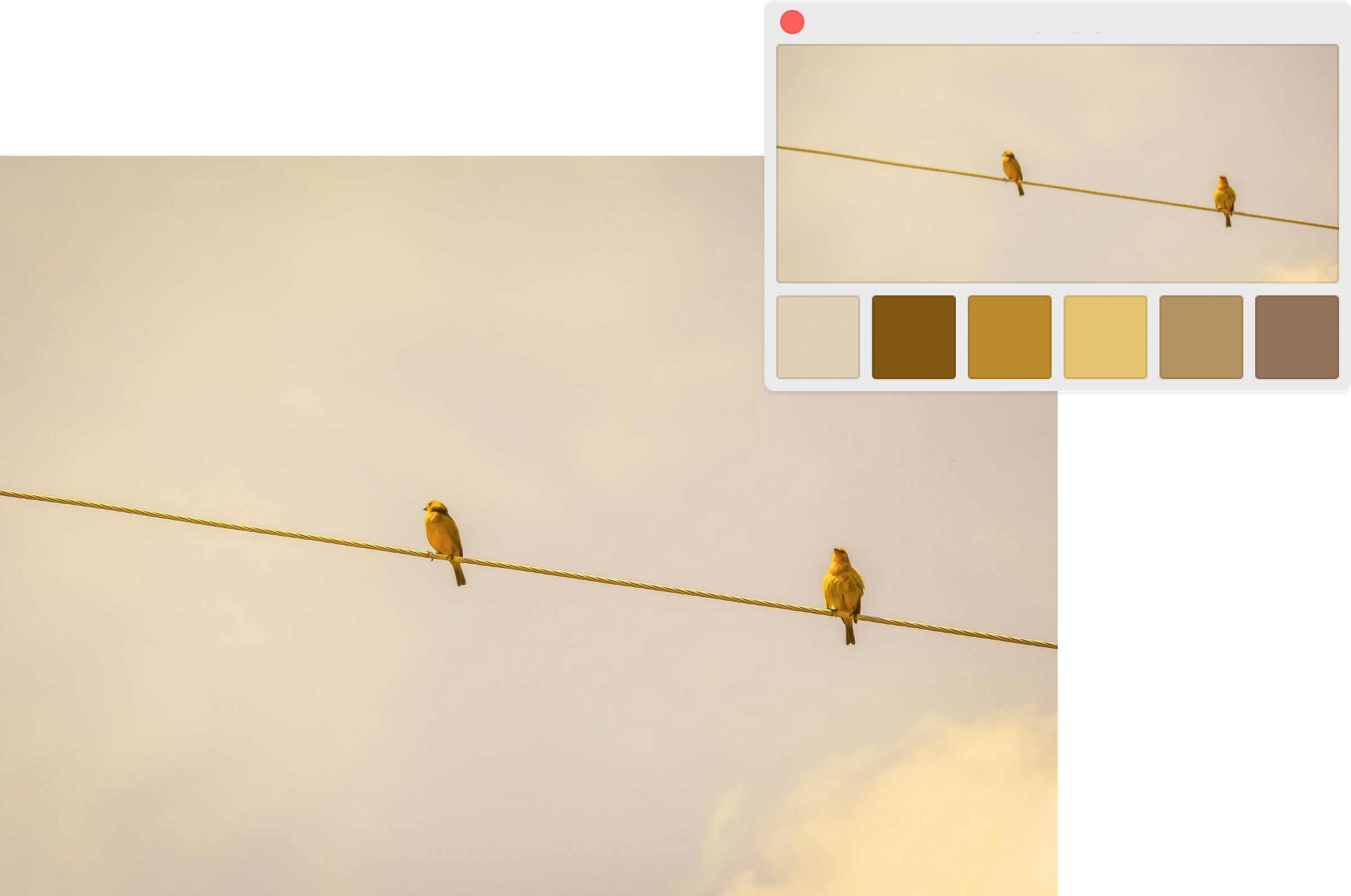 UI Color tips — How to create a color palette from an image.