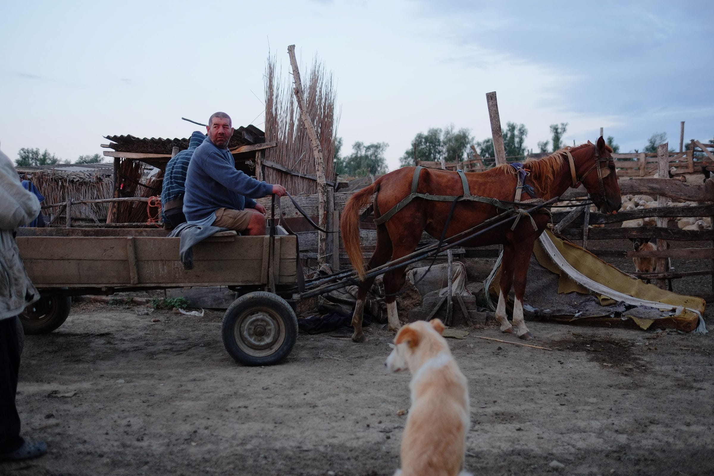 Moldavian farm — a brief introduction This is Moldova Medium