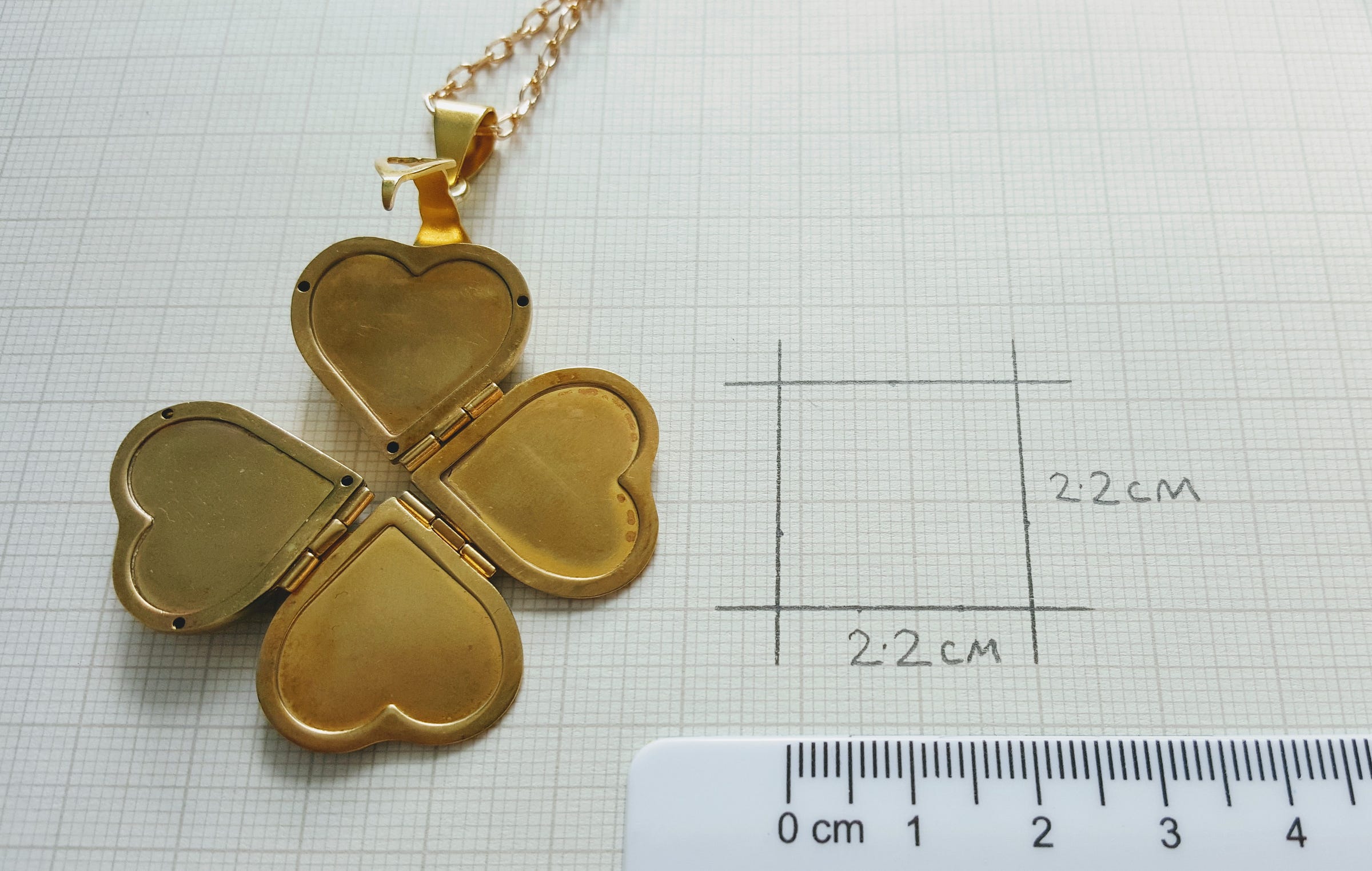 photo-for-a-heart-locket-oddprints-medium