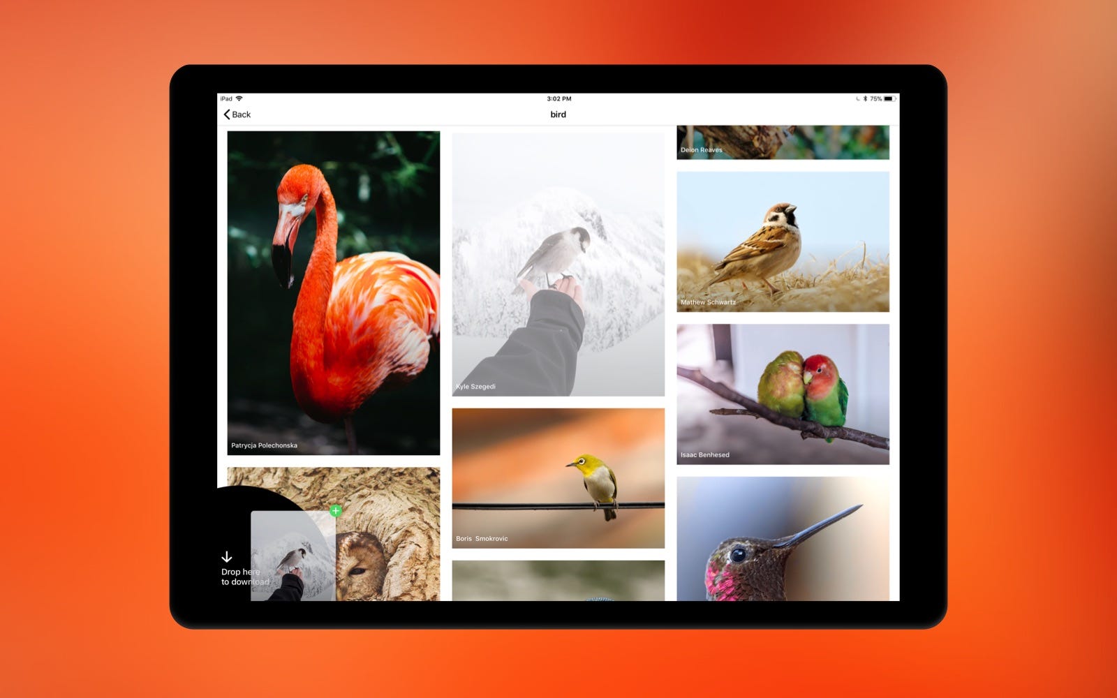 Unsplash Turns 5 Unsplash Blog Medium