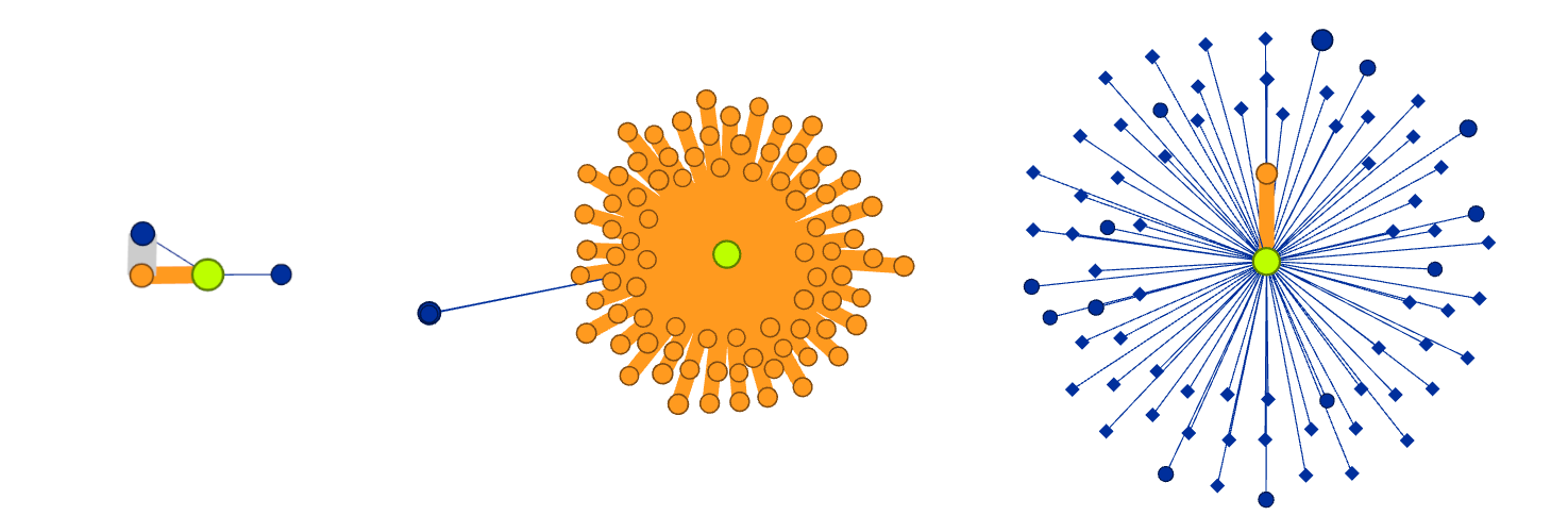 Visualizing Dynamic Bitcoin Transaction Patterns