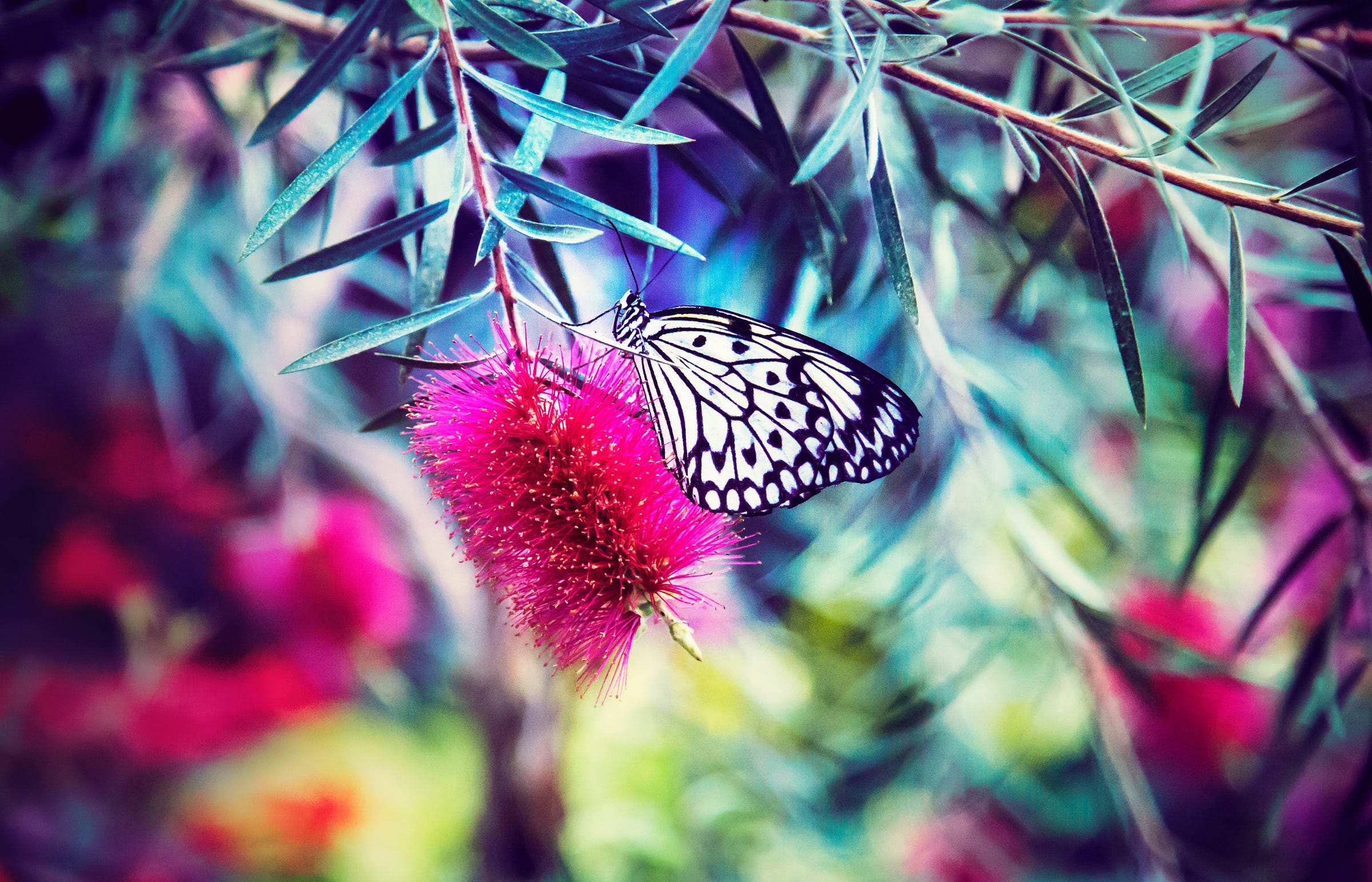 Trauma Doesnt Have To Define New >> The Scientific Process To Heal Any Emotional Trauma Trauma Doesnt Have To Define New >> The Scientific Process To Heal Any Emotional Trauma