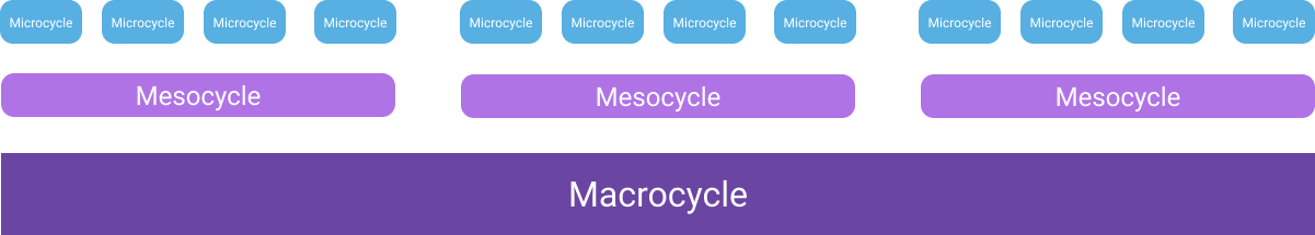 The basic building blocks of periodized programs: Microcycles, mesocycles, macrocycles