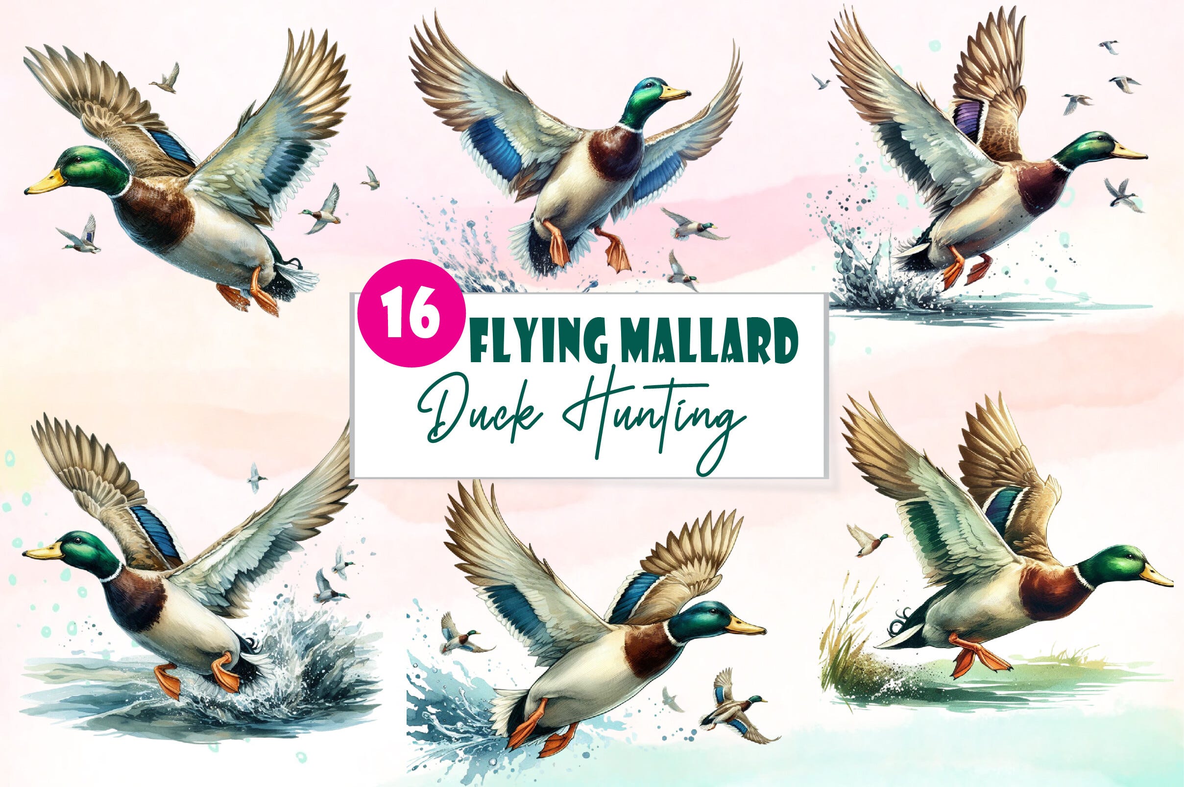 Flying Mallard Duck Hunting Watercolor Free