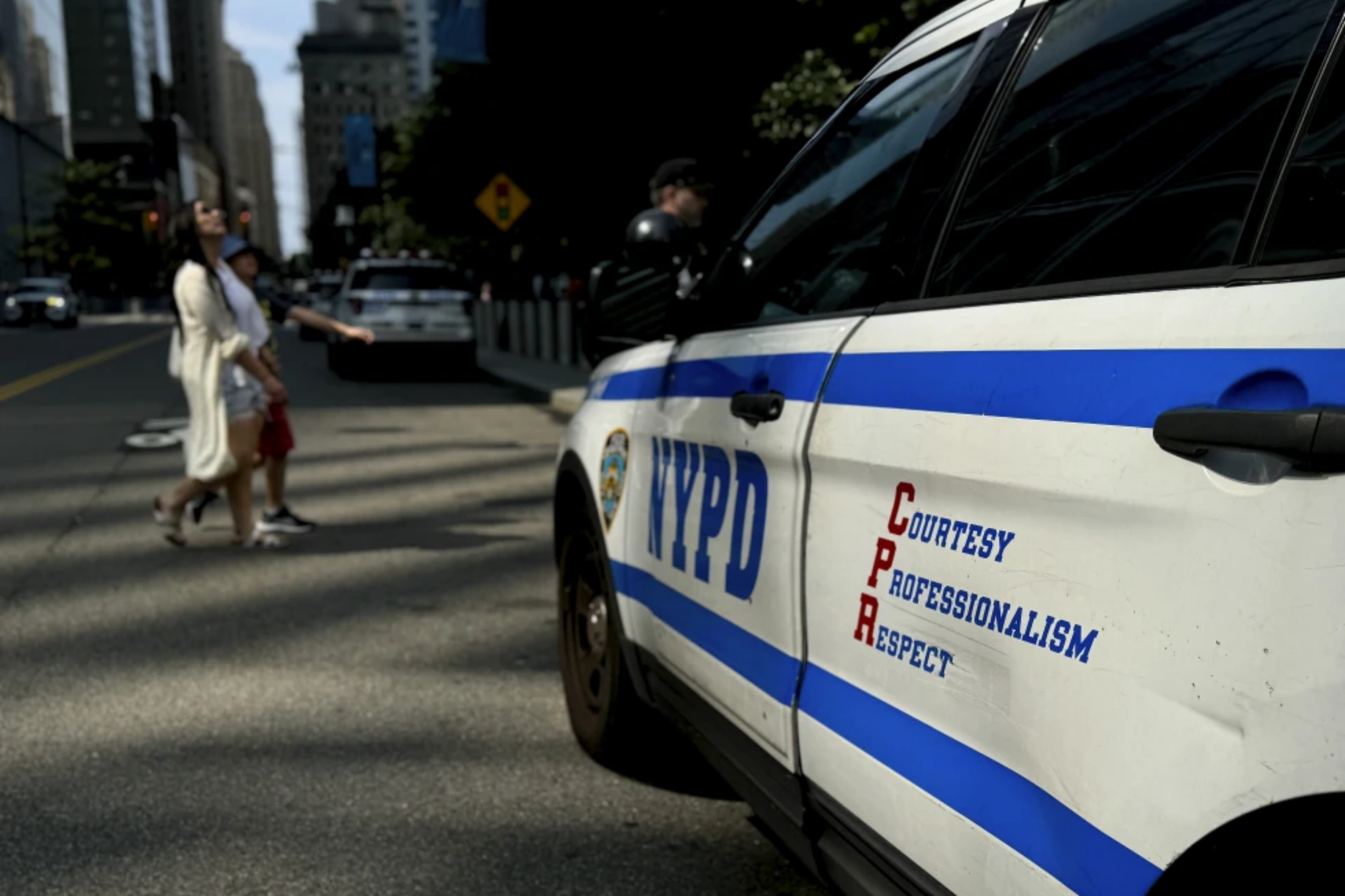 The NYPD: What Does the Data Say?
