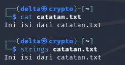 Example of using cat & strings command