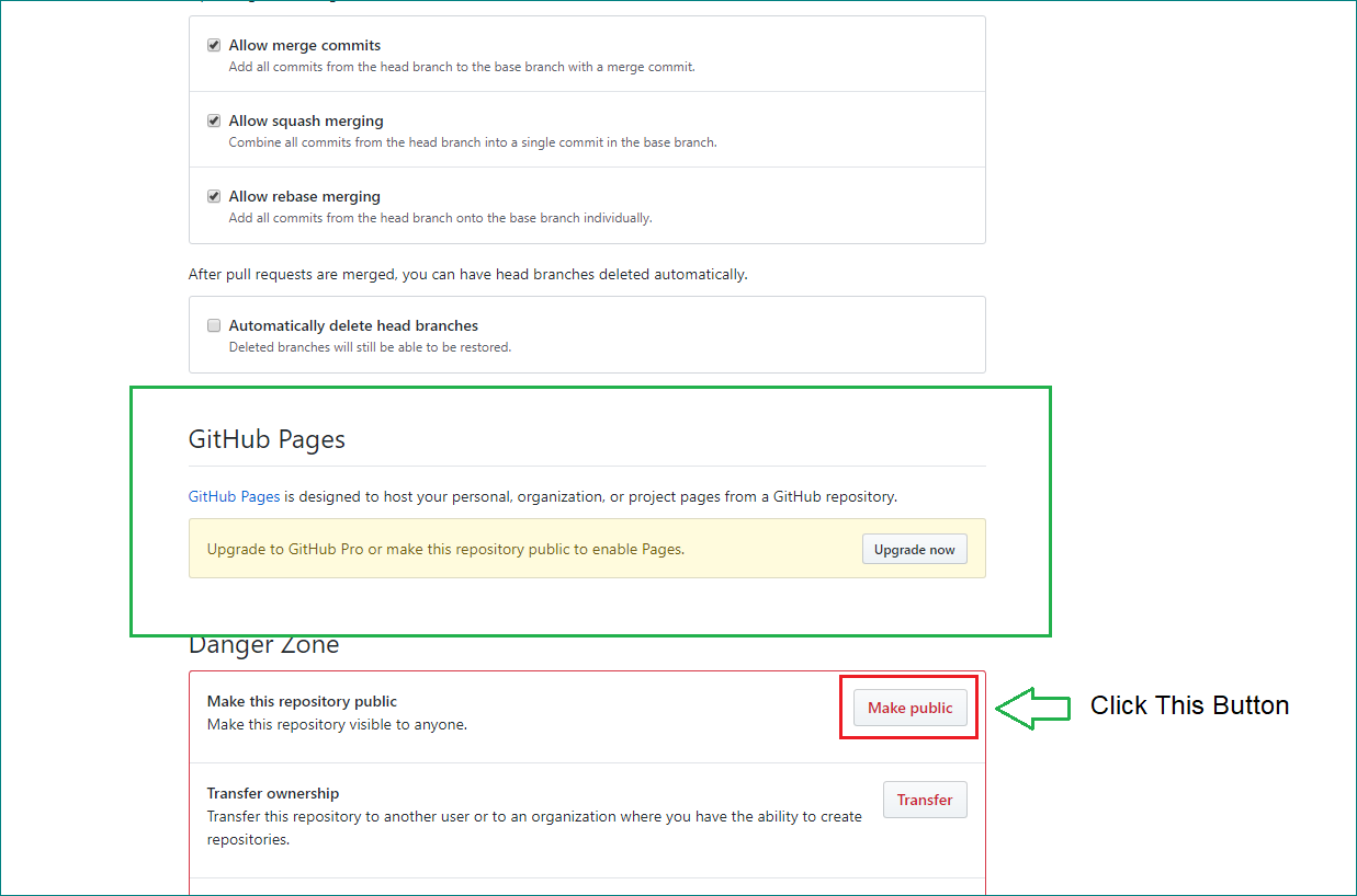 Making Repository Public on GitHub