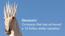 Decacorns ahead!