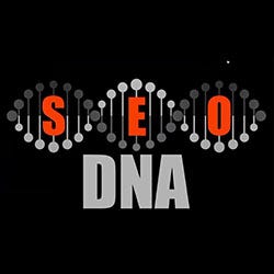 Seo DNA