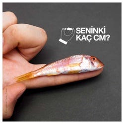 Greenpeace’in yavru balık avının durdurulması için kamuoyu yaratmayı hedefleyen “Seninki kaç santim?” kampanyası görsellerinden biri.