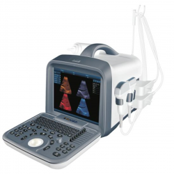 Ultrasound System