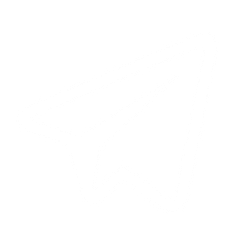¡Únete a nuestra comunidad en Telegram!