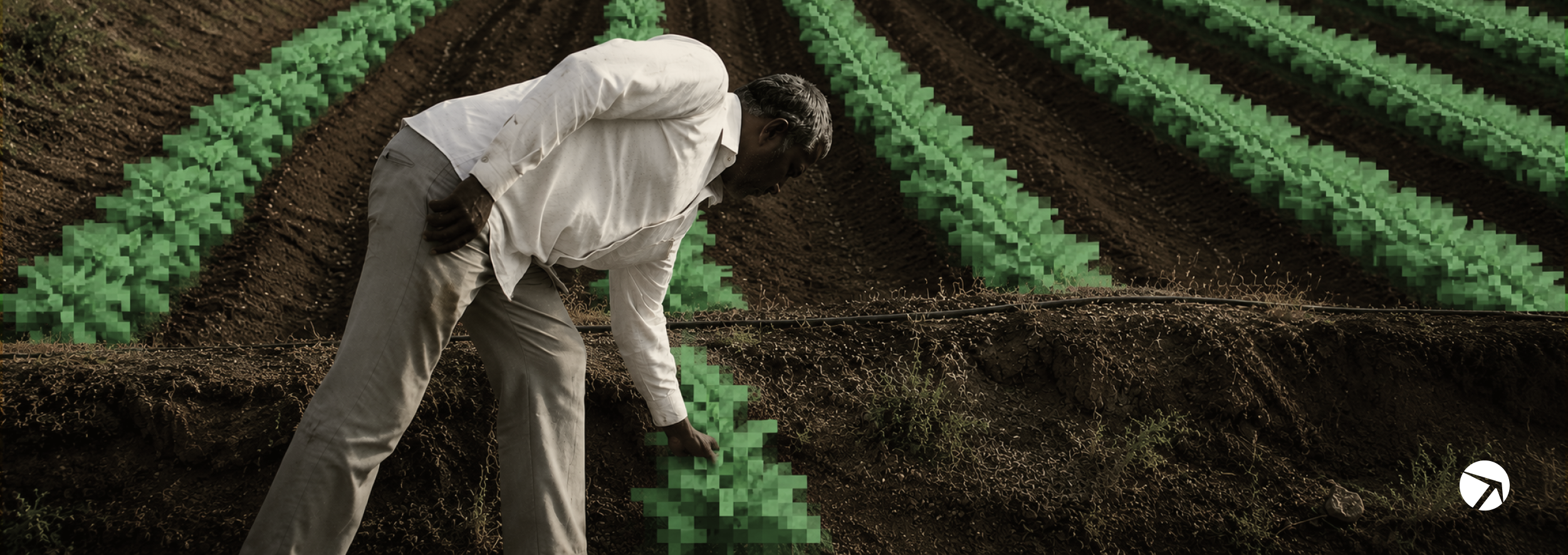 Farmer Psychology in the age of Digital Trust