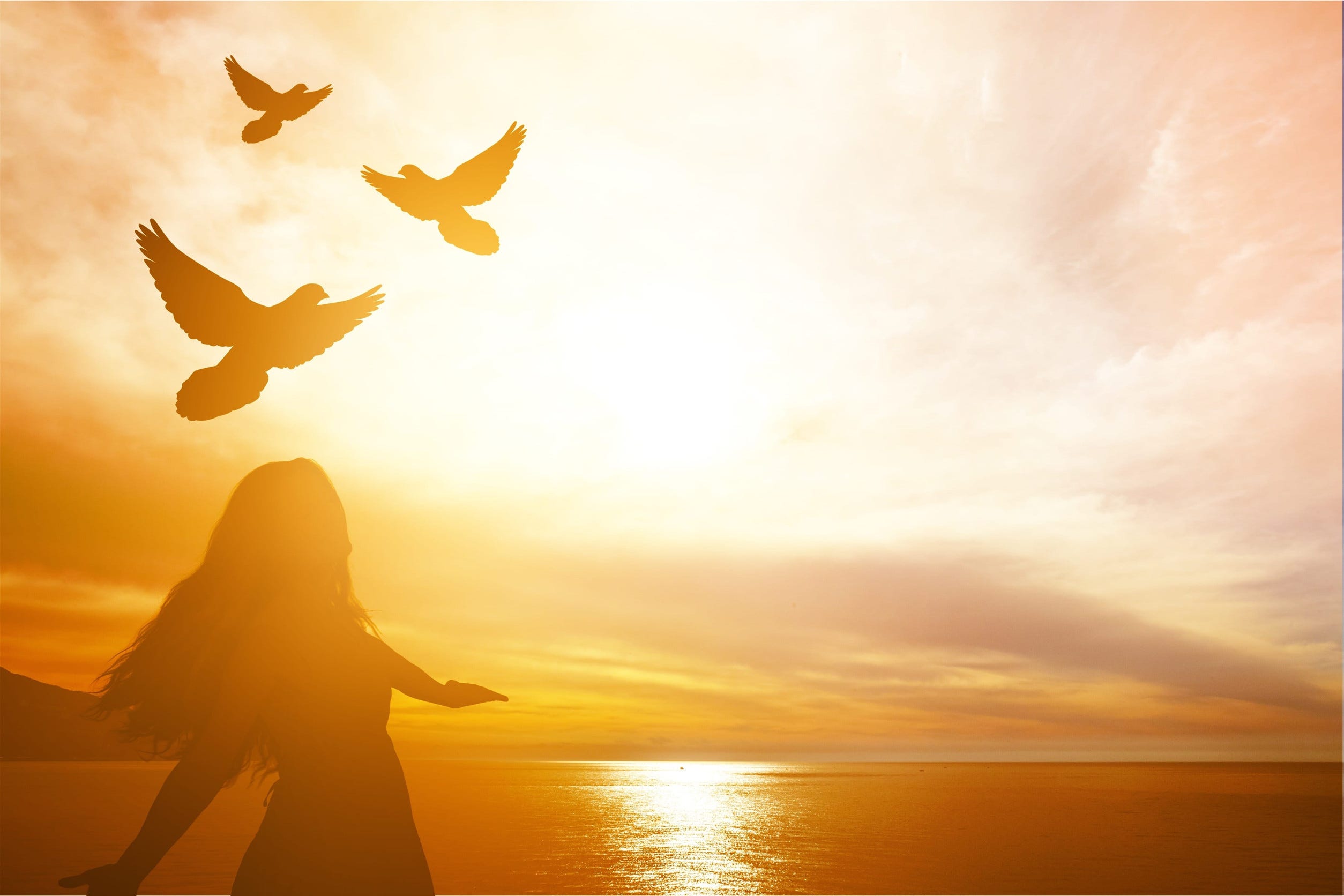 Divine Forgiveness: A Comprehensive Exploration